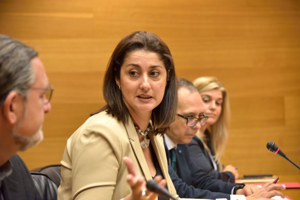 You are currently viewing Sandra Martín: “Les inversions justes en Rodalies i Corredor Mediterrani estaven recollides en els PGE de 2019 que el PP va tombar”