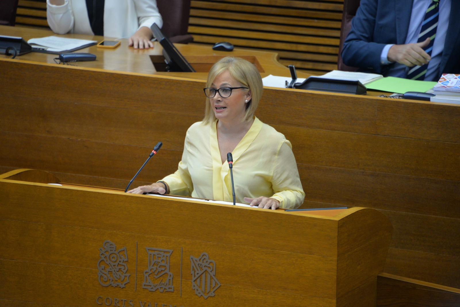 En este momento estás viendo Les Corts valencianes aprueban la iniciativa socialista para elaborar un mapa con los puntos negros de inseguridad femenina en la Comunitat