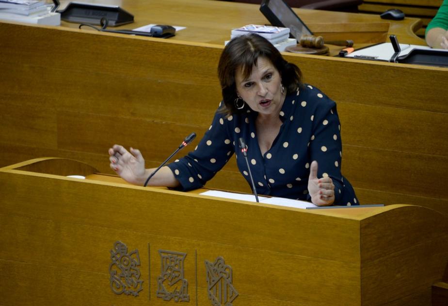 En este momento estás viendo El PSPV-PSOE pide intensificar los planes de educación sexual en los centros educativos ante el aumento de casos de enfermedades infecciosas