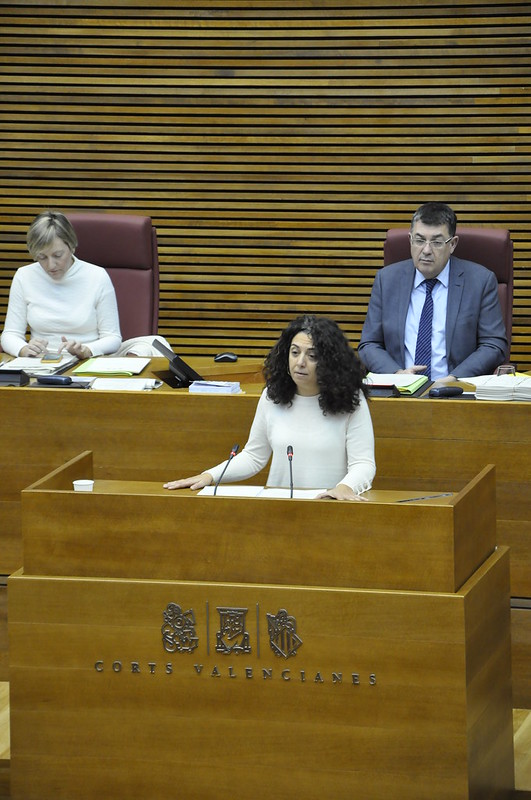 You are currently viewing Besalduch acusa el PP de tractar de crear “falsa alarma entre els pares” i recorda que “la Comunitat és l’única amb un pla de ´volta al col·le´ consensuat amb la comunitat educativa i els sindicats”