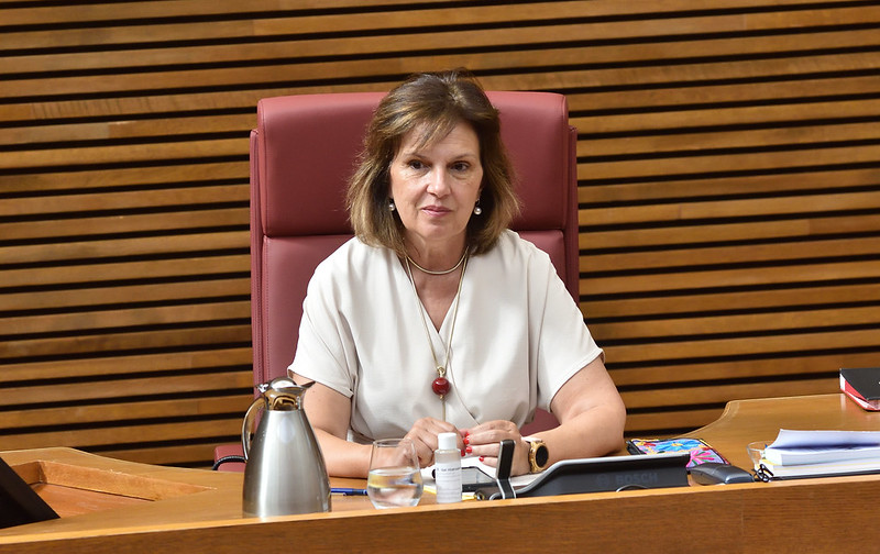 En este momento estás viendo Carmen Martínez: “La comisionada de Atención Primaria está centrando todos sus esfuerzos en ayudar a cerrar el agujero negro que el PP dejó en la sanidad pública”