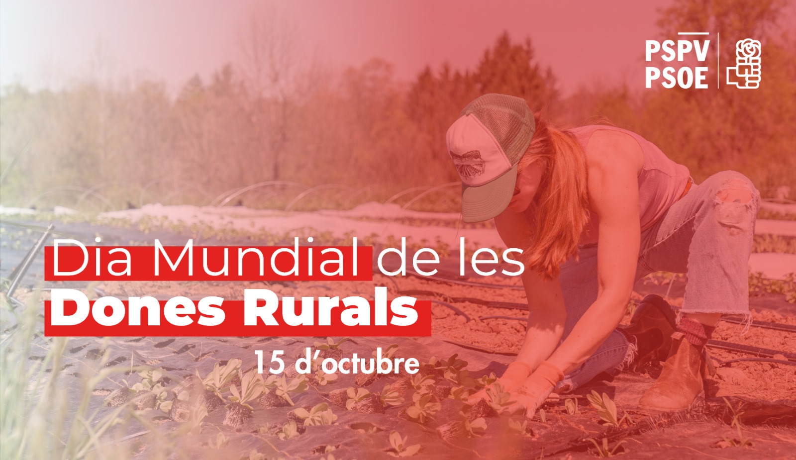 You are currently viewing El PSPV-PSOE planteja l’estatut de la Dona Rural per a avançar i garantir la igualtat en el sector agrari