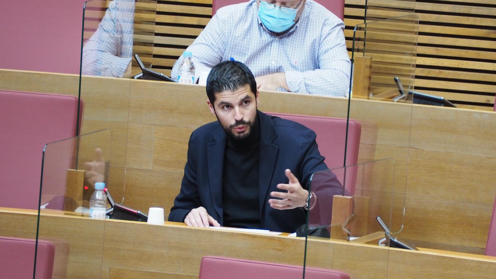 En este momento estás viendo El PSPV-PSOE propone crear el distintivo Gallinas Libres de Jaulas para avanzar en materia de bienestar animal