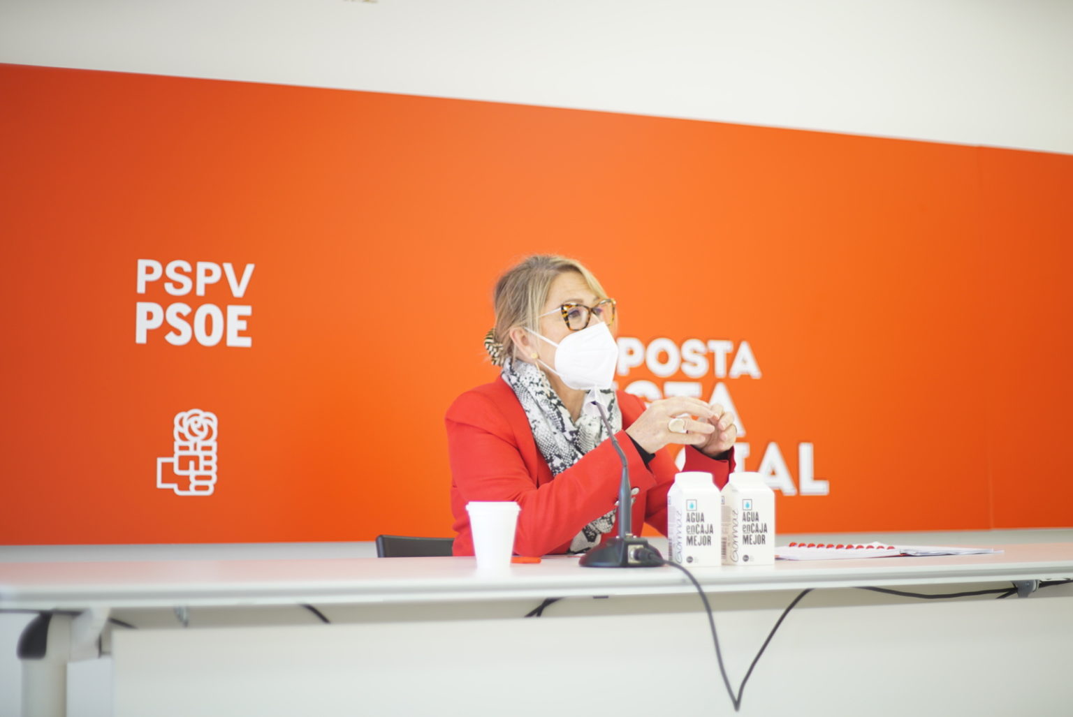 En este momento estás viendo Inmaculada Rodríguez-Piñero: “Los socialistas ya hemos propuesto que se revise la Directiva europea de propiedad intelectual para que las patentes no impidan a nadie el acceso a la vacuna”