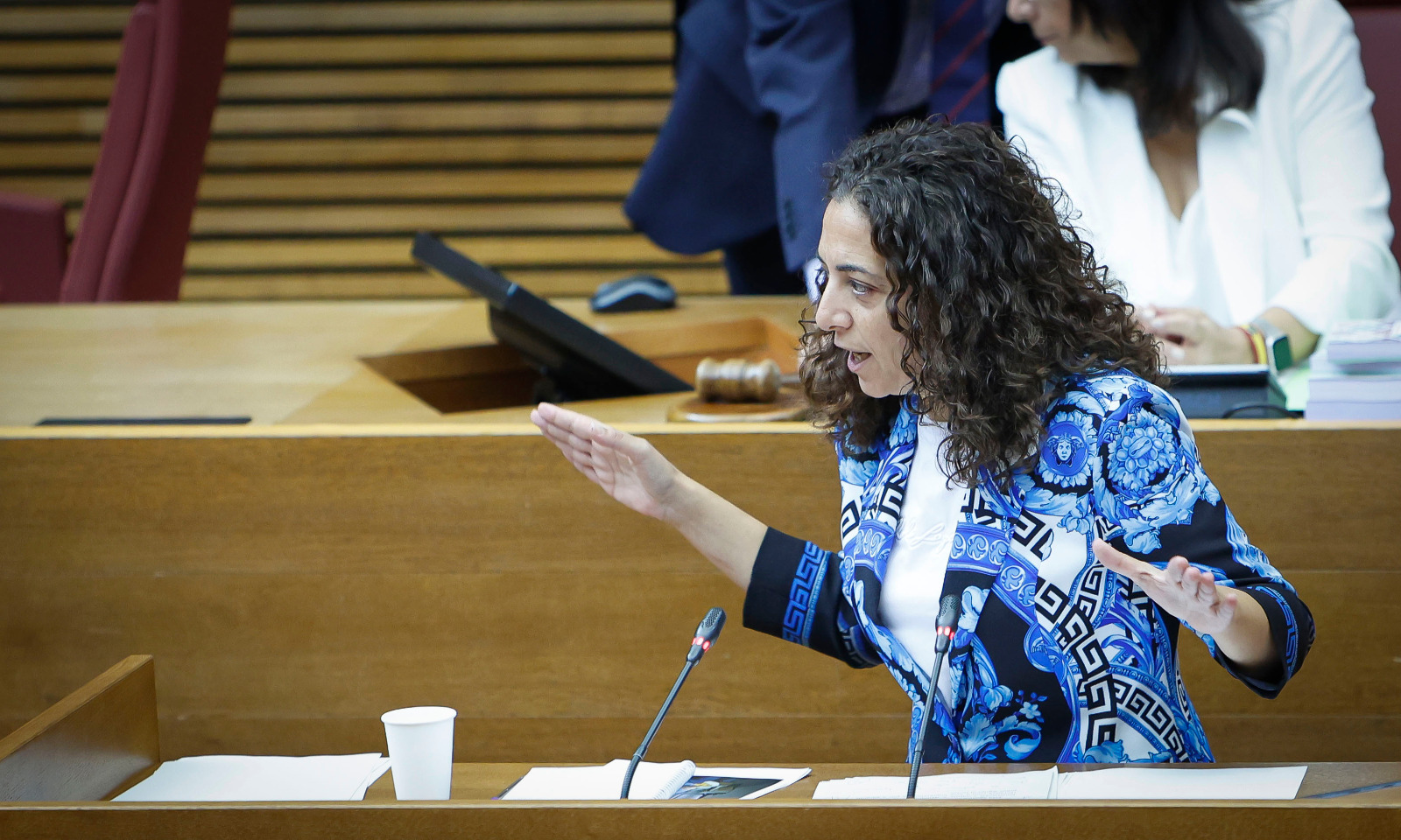 You are currently viewing El PSPV-PSOE alerta que Mazón “ha fet desaparéixer les polítiques de despoblament de l’agenda del Consell”