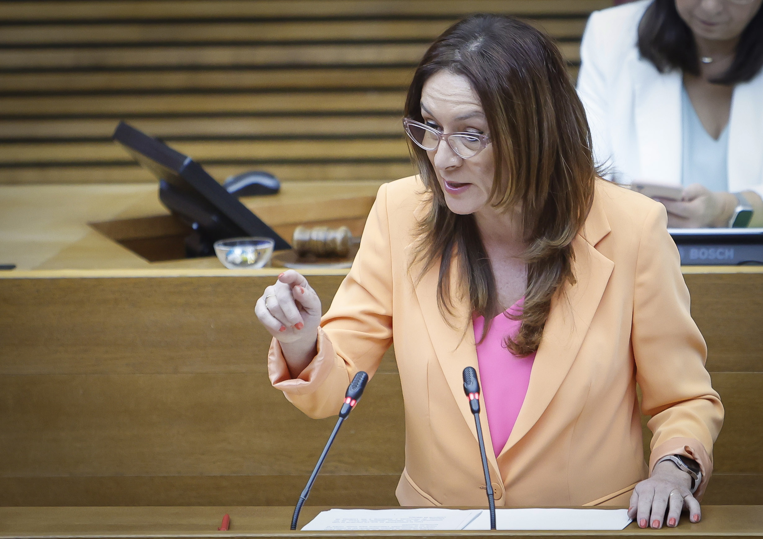En este momento estás viendo El PSPV-PSOE acusa a Mazón de liquidar el sistema judicial de asistencia a las víctimas de violencia de género: “Están más preocupados por justificar a los maltratadores que por proteger a las mujeres”