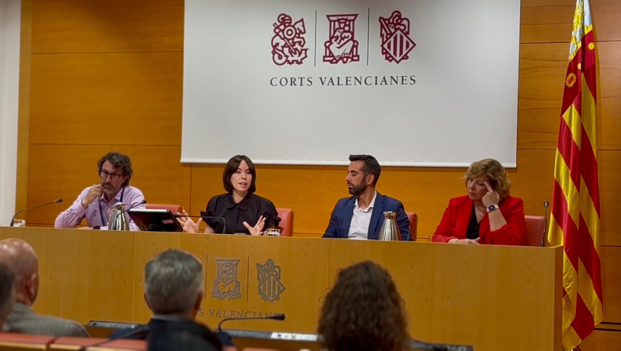 En este momento estás viendo Diana Morant apunta que «los valencianos nos tenemos recuperar de la catástrofe de la dana pero también de la catastrófica gestión que hace el PP de toda la Comunitat Valenciana»: «Mazón y todo su equipo solo han venido a generar problemas, división y dolor»