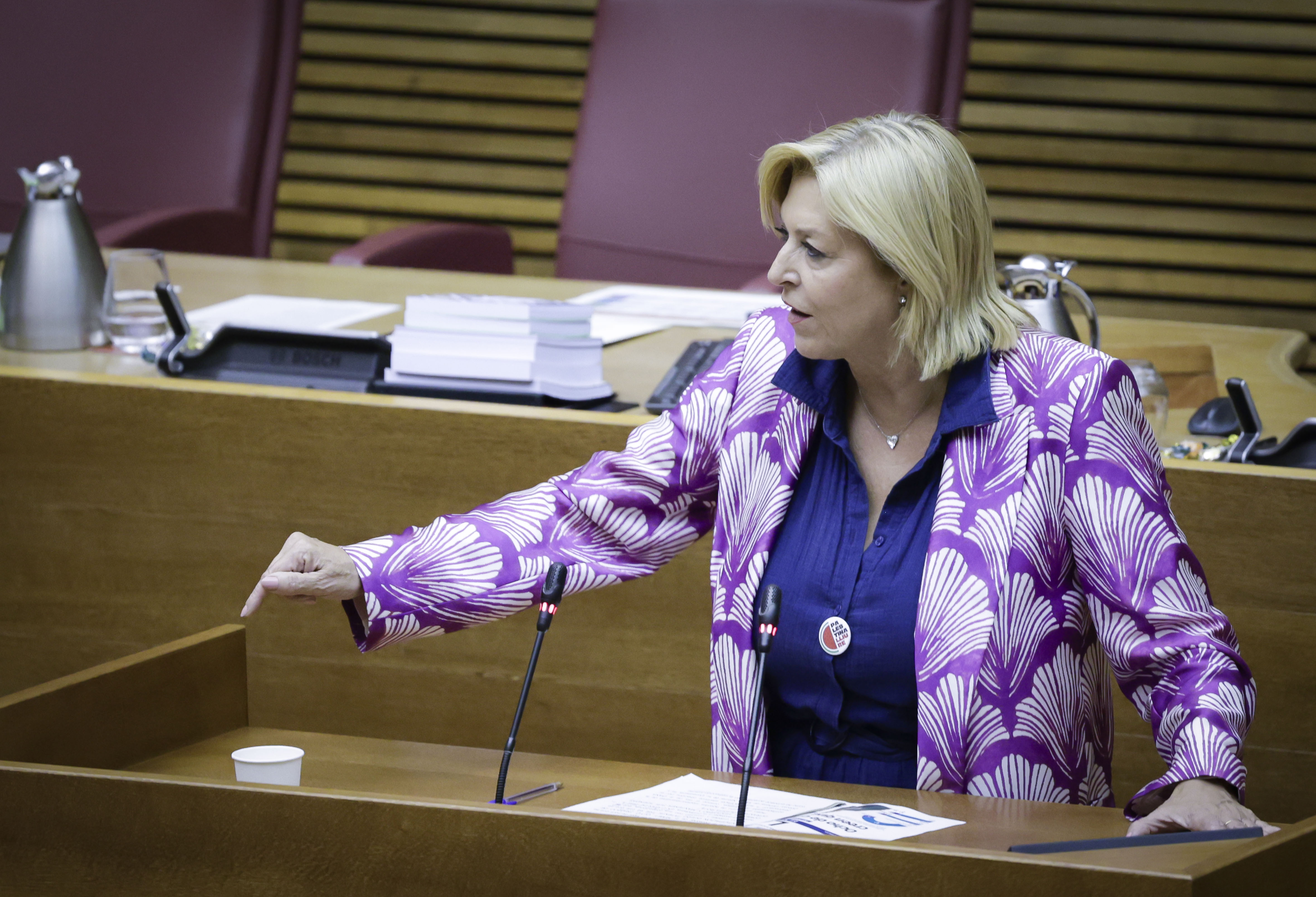 En este momento estás viendo El PSPV-PSOE reclama al Consell la implantación en todos los municipios de la Comunitat Valenciana del Agente Tutor de la policía local para reforzar la seguridad de niños y adolescentes ante el “alarmante” aumento del acoso escolar